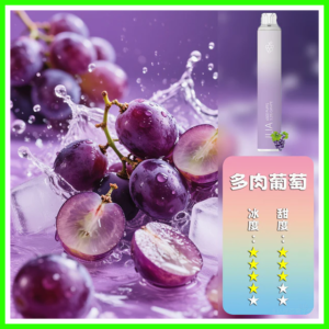 ILIA哩啞電子煙一次性抛棄式 6500口【葡萄】